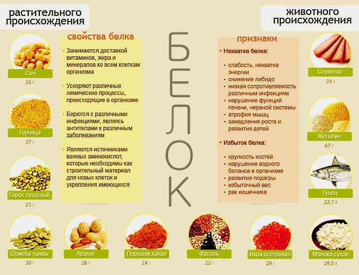 Белок список продуктов с высоким содержанием белка рекомендуемая норма в питании