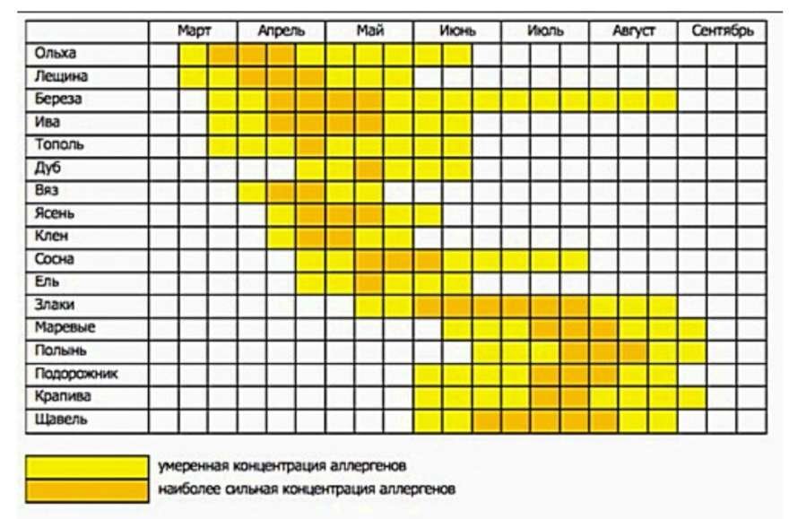 Карта цветения крым для аллергиков