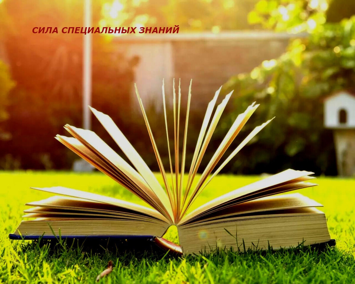 (фото взято из открытых источников и не принадлежит автору статьи)