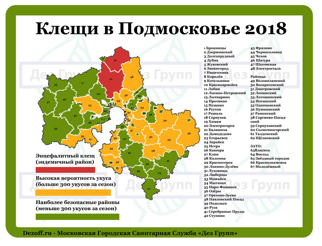 Берегитесь, Опасные Клещи в Подмосковье 2018 года. Уже есть пострадавшие. |  Санитарная служба 