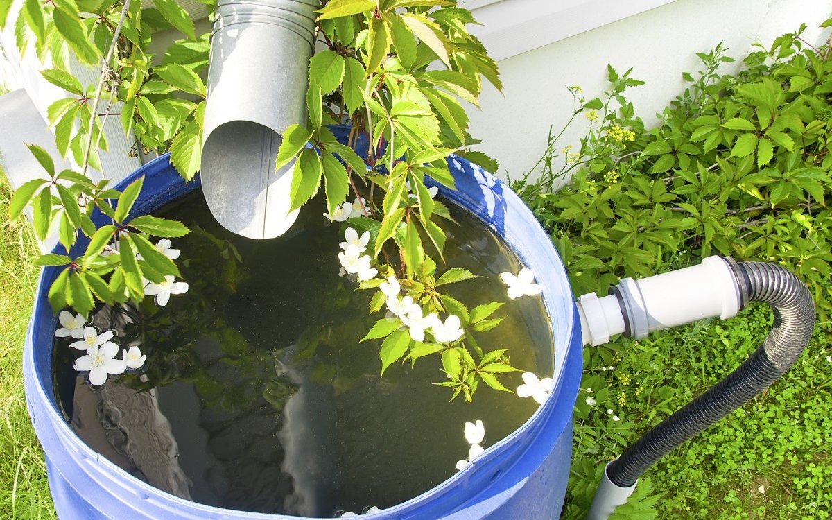 Фильтр для очистки дождевой воды Системные принадлежности | Bosch DIY