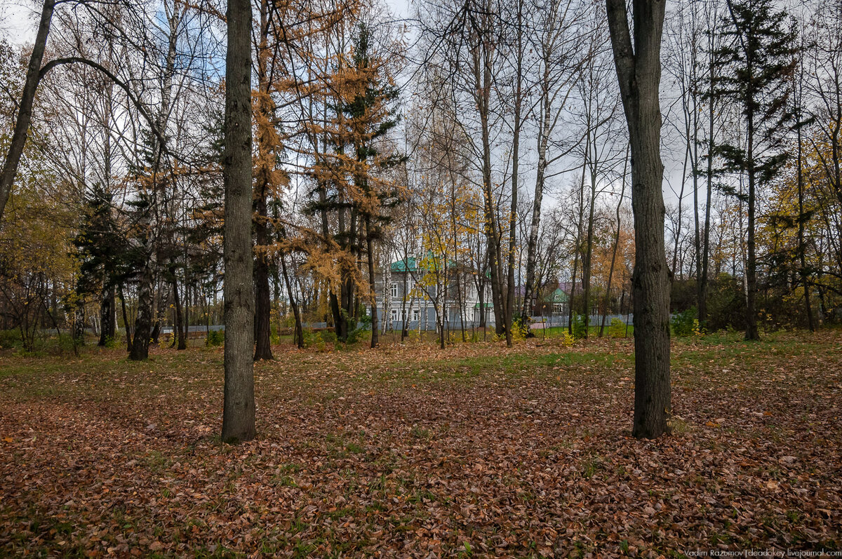 
2.  "Октябрь серебристо-ореховый.Блеск заморозков оловянный.Осенние сумерки Чехова,Чайковского и Левитана".Б.Л. Пастернак
Музей в Клину относится к числу старейших мемориальных музеев России. Сразу после смерти Петра Ильича его младший брат, драматург Модест Чайковский, решил сохранить убранство дома со всеми бытовыми деталями. Чтобы не нарушить сложившийся при П.И. Чайковском быт в мельчайших деталях, он сделал пристройку к дому и поселился там.

3.
