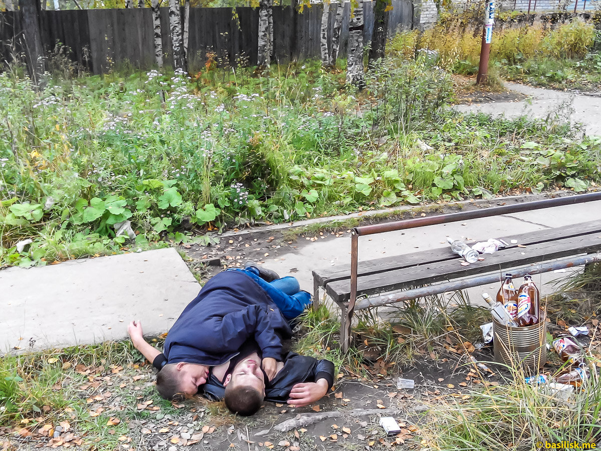 Онежские пьяницы.