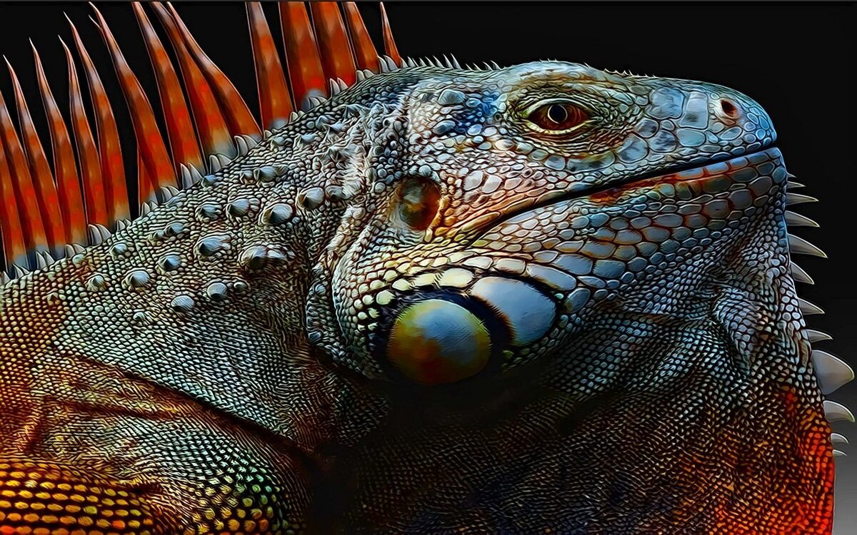 -2