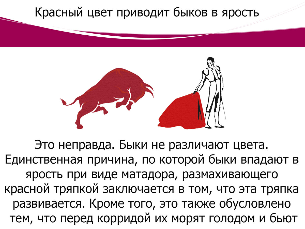 бык реагирует на красный цвет. быков раздражает красный цвет. как видят мир быки. быки ненавидят красный цвет. различают ли быки красный цвет.