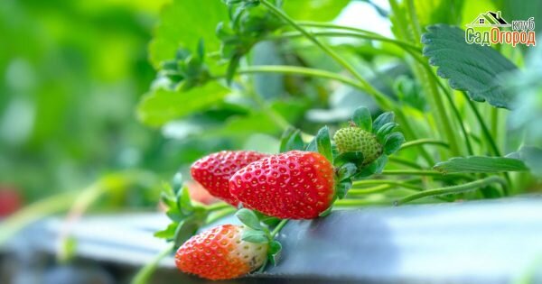 изображение: depositphotos.com