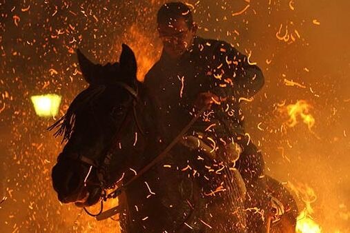 Горящая конюшня. Конюшня горит. Пожар в конюшне. Лошадь сгорела в конюшне.