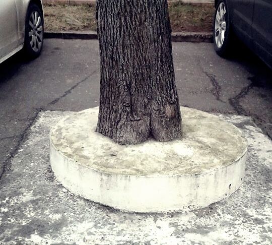 Фото Людмилы Штаубер 