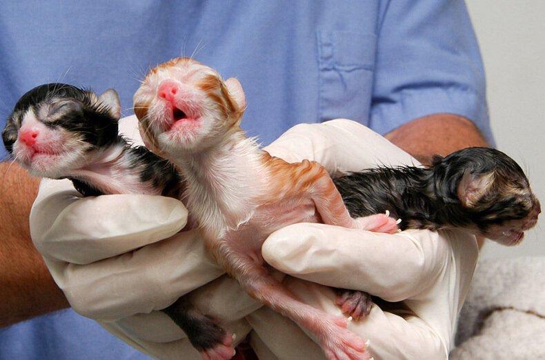 Фото из открытых источников