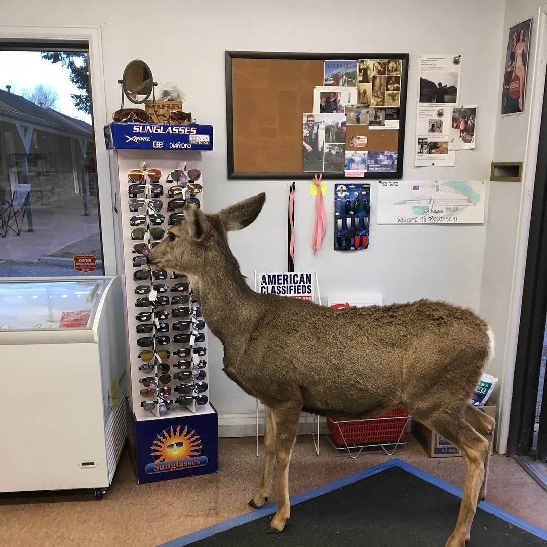 Фото: Horsetooth Store and Gas