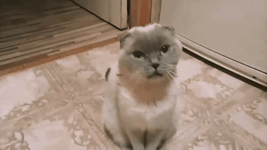 С нами шуточки плохи. 