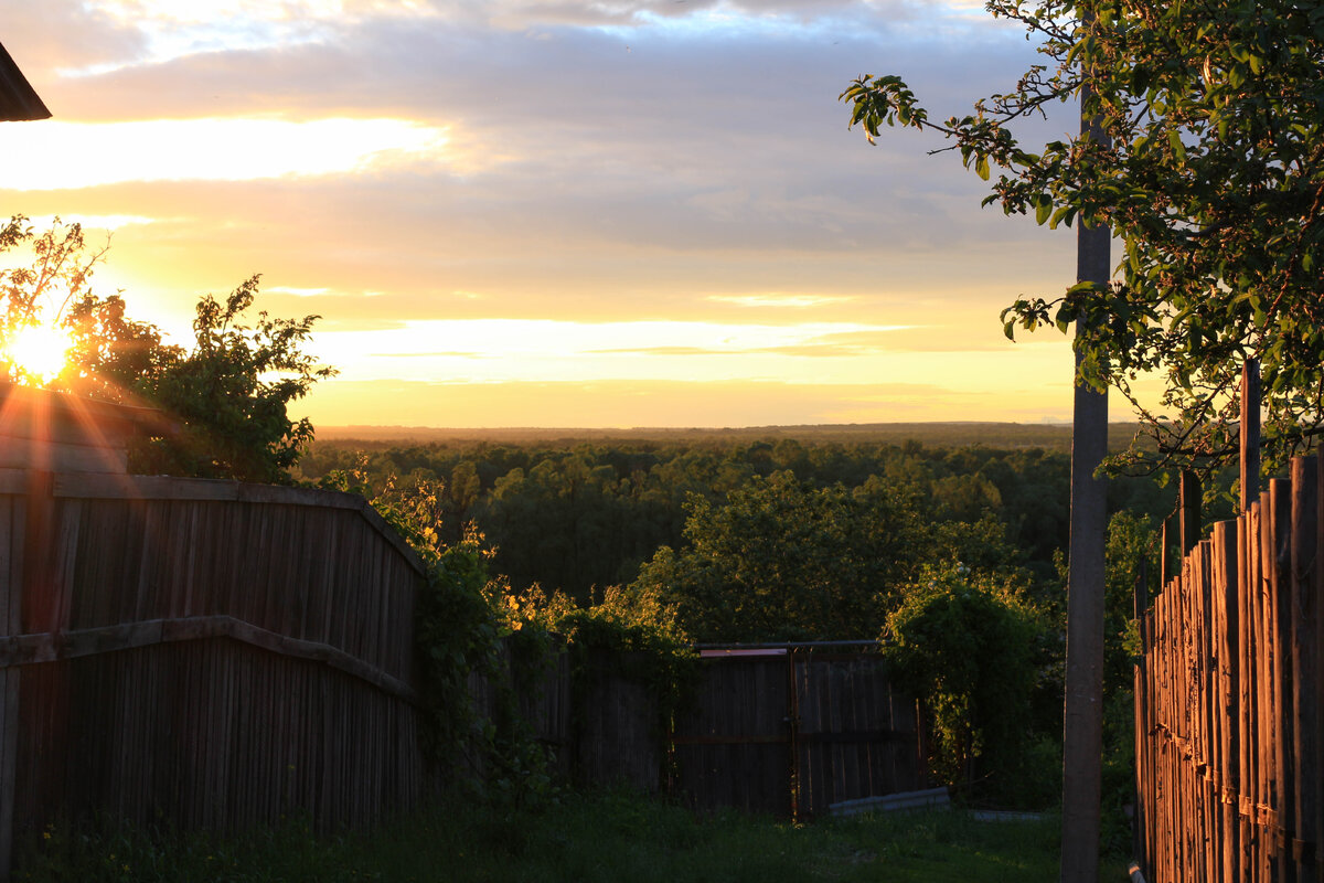 Это одна из первых фотографий, причем отобрана из порядка 100 других, менее удачных.