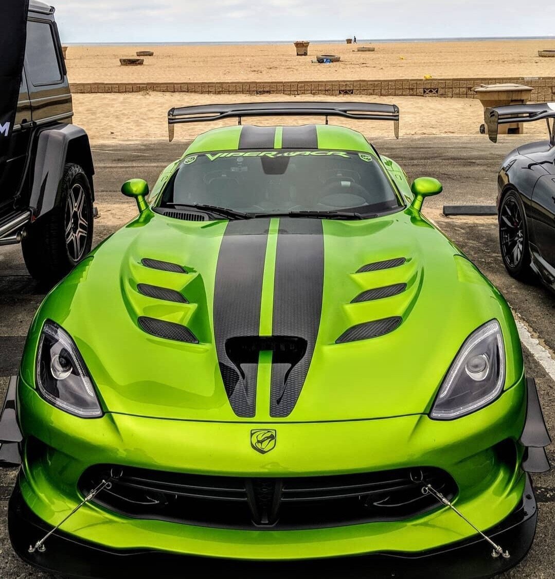 Вы только посмотрите на эту кобру