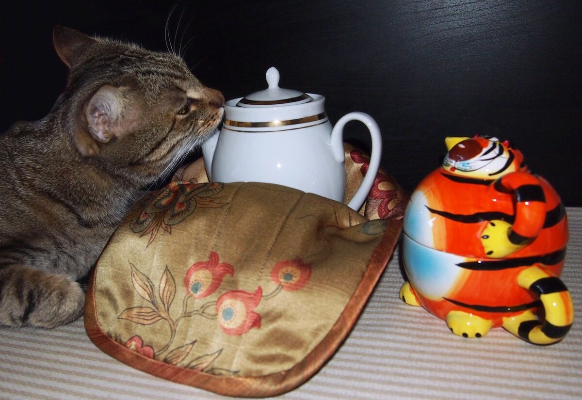 Грелка на чайник « Кот»
