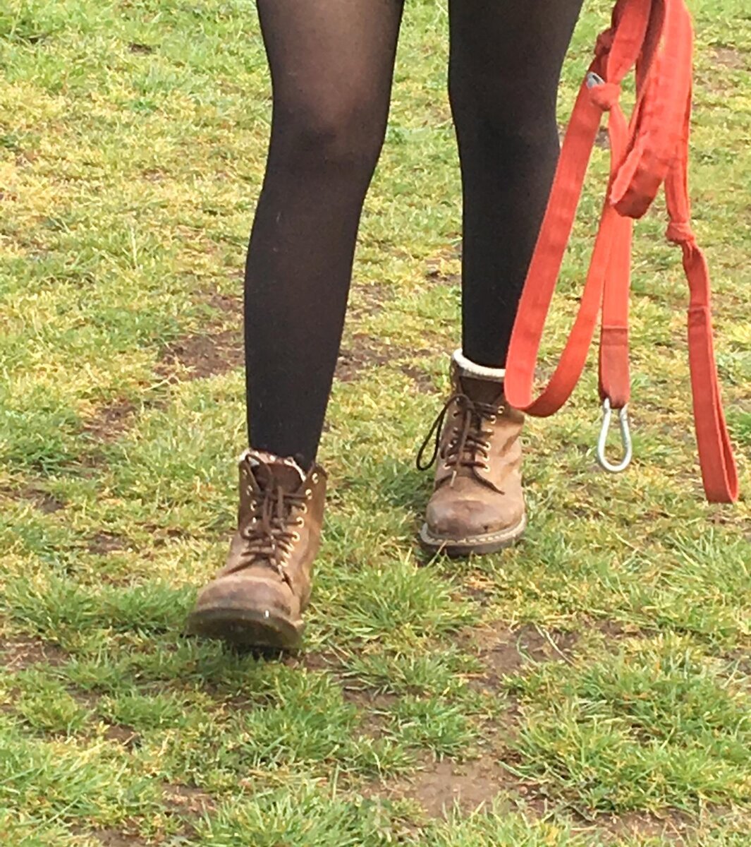 dog walking Dr. Martens shoes/обувь для выгула собак