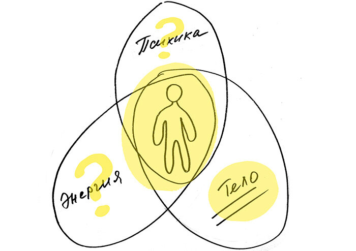 Целостный или традиционный подход?