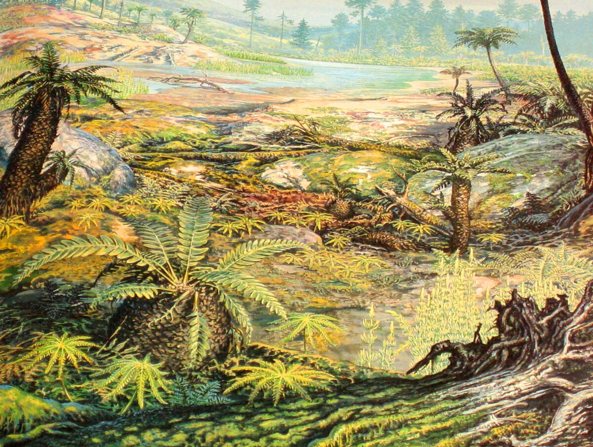 Эпоха мезозойской эры. Меловой период мезозойской эры. Мезозойская Эра Юрский период растения. Меловой период мезозойской эры растения.
