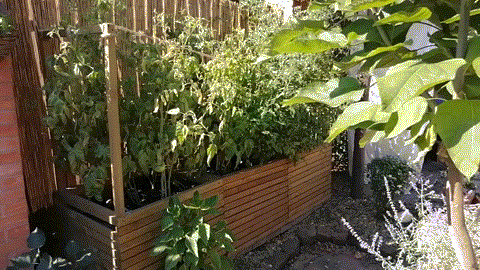 Аккуратный, красивый, компактный огородик