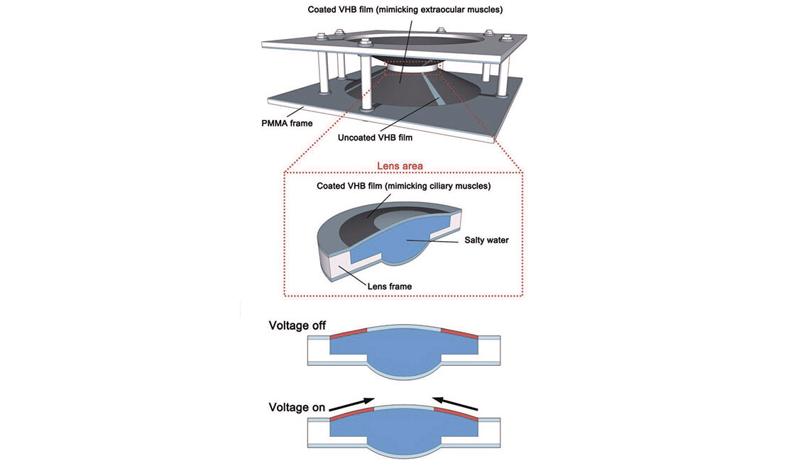 Источник: onlinelibrary.wiley.com 