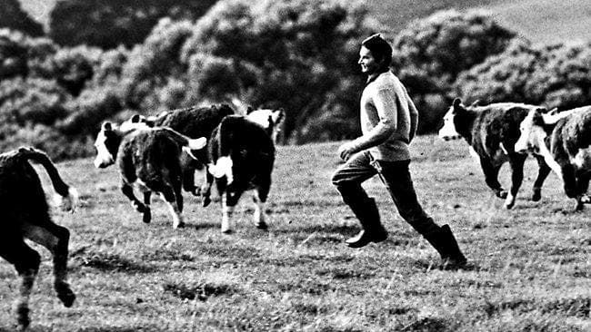 Самый выносливый пастух Австралии