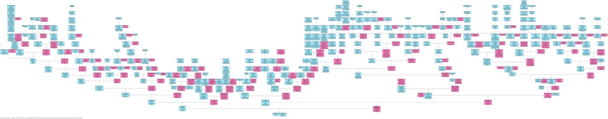 Генеалогическое древо на 17 поколений (от 0 -го до 16-го поколения), 361 персона.  (На схеме прямоугольники голубого цвета - мужчины, розовый цвет - женщины).
