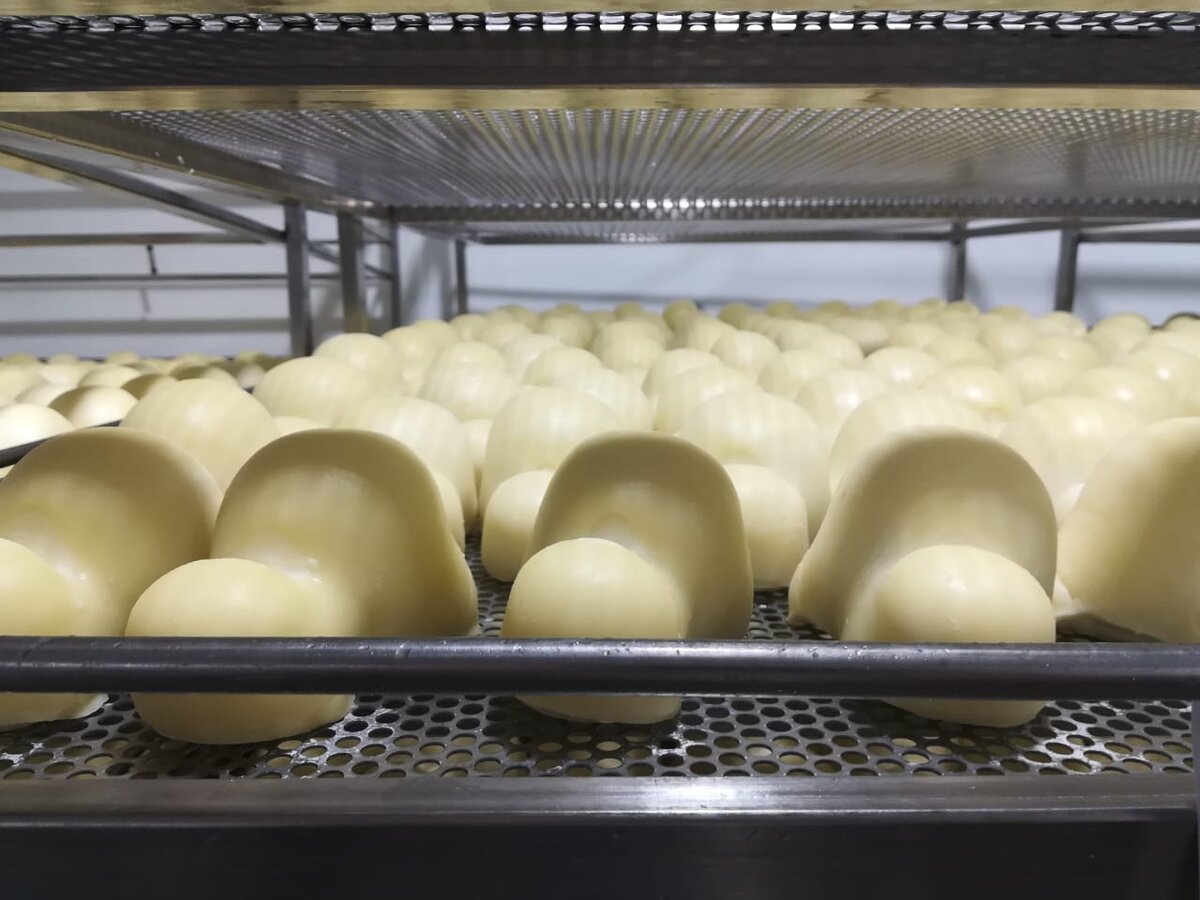 Фото автора: The DairyNews (c)