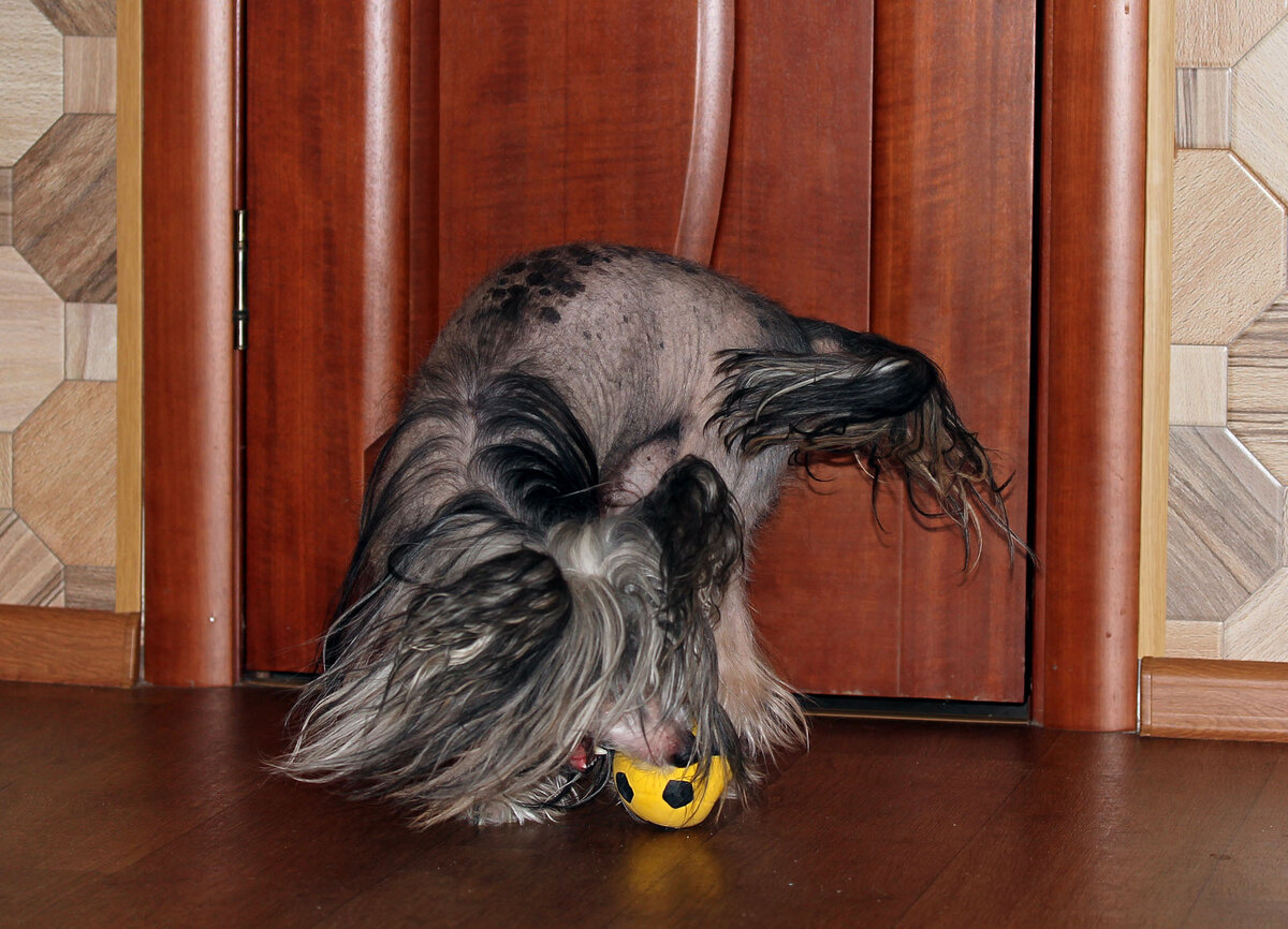 Фото из личного архива