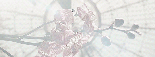 Красивые образы в сериале