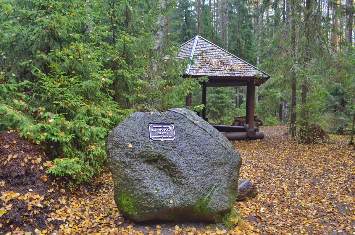 Комаровский берег фото