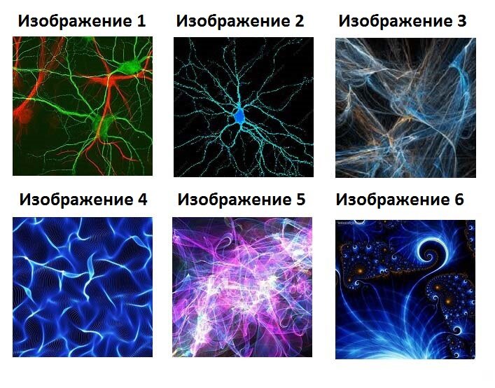 Выберите изображение которое привлекает ваше внимание