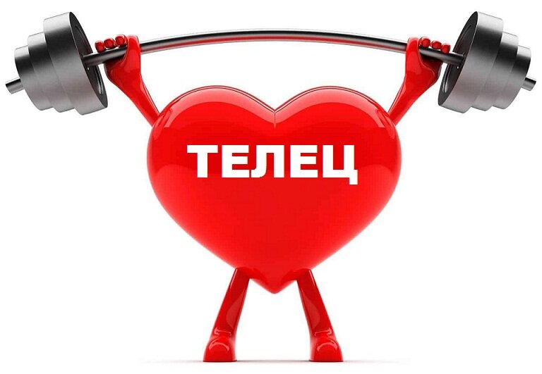 денежный телец. овен астрология. телец здоровье. 1 декада тельцов. здоровье лев.