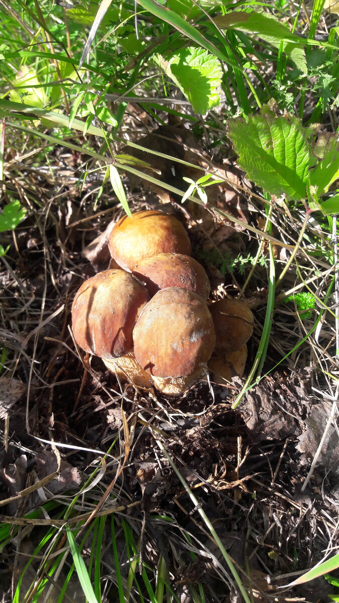 Из личного архива