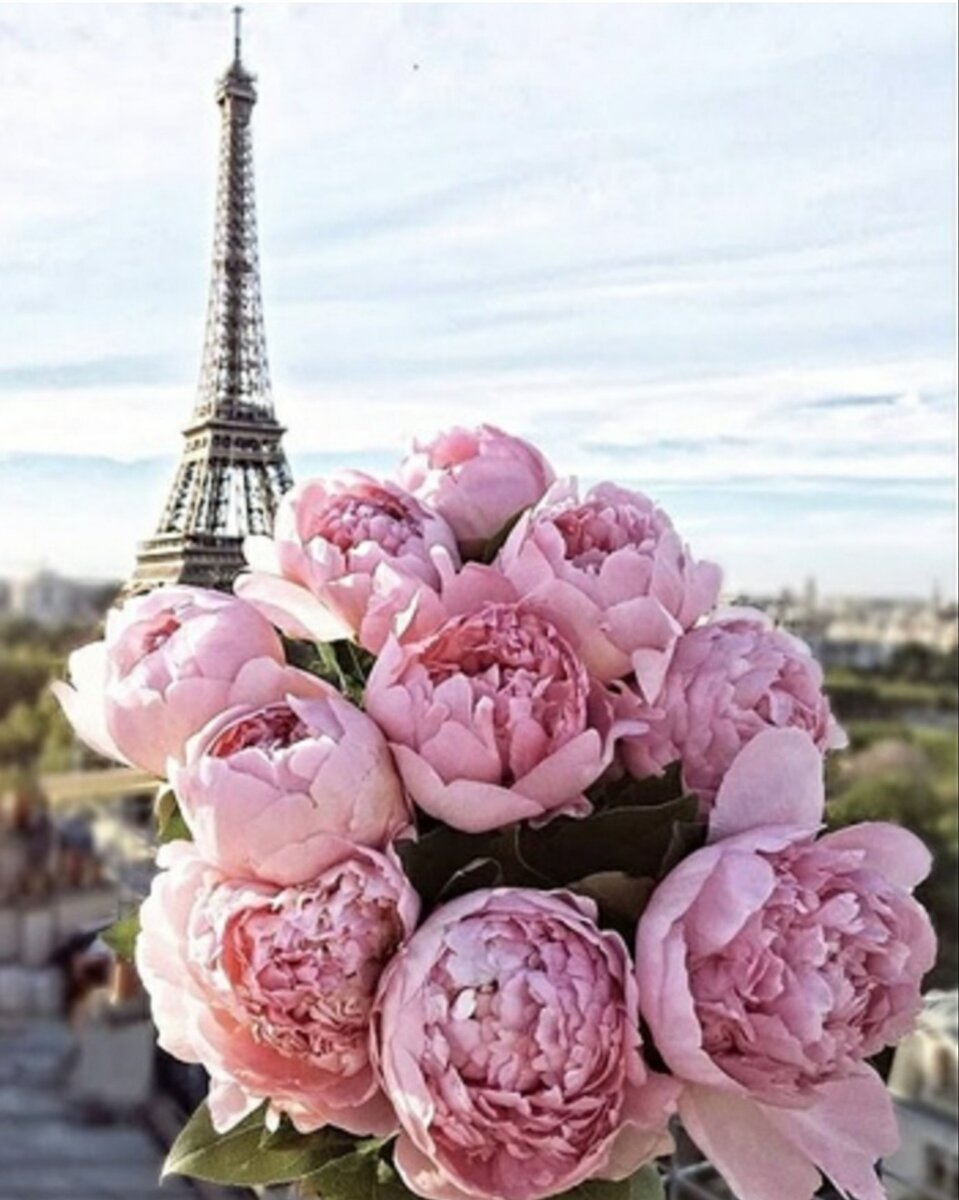 Нашу жизнь определяет не то, что мы говорим вслух. Наибольшей силой обладает то, что мы мысленно нашептываем себе.