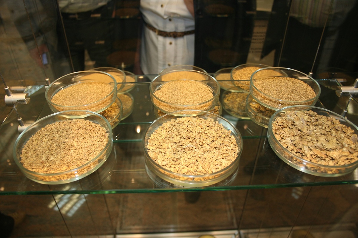 дневная добыча с трех приборов на ЗПК