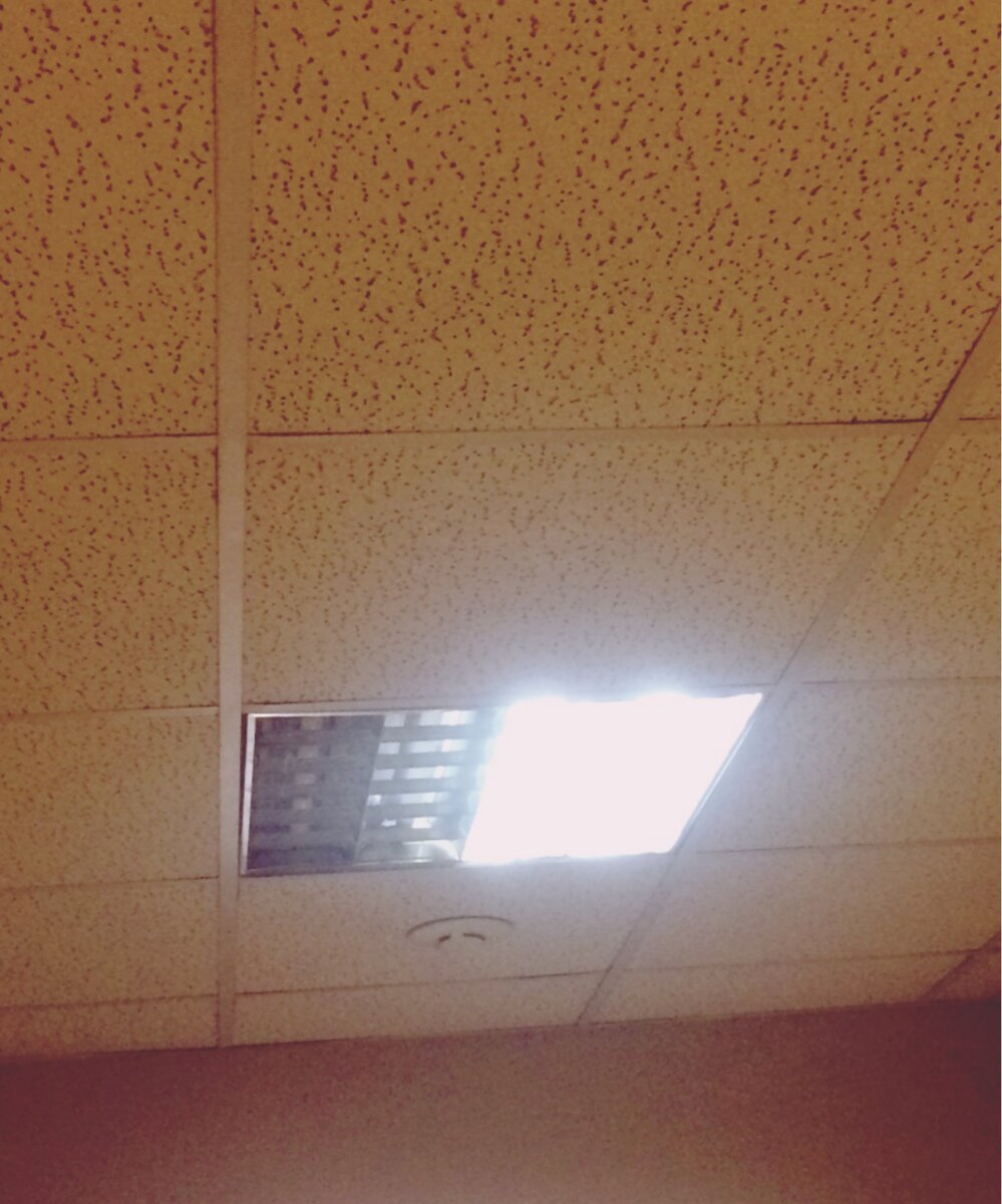 Начальство говорит, что лампа дома такая же