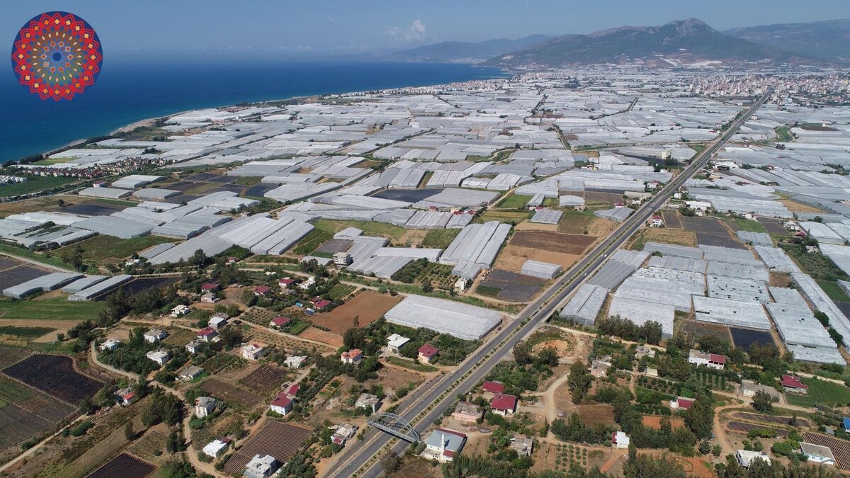 теплицы в турции