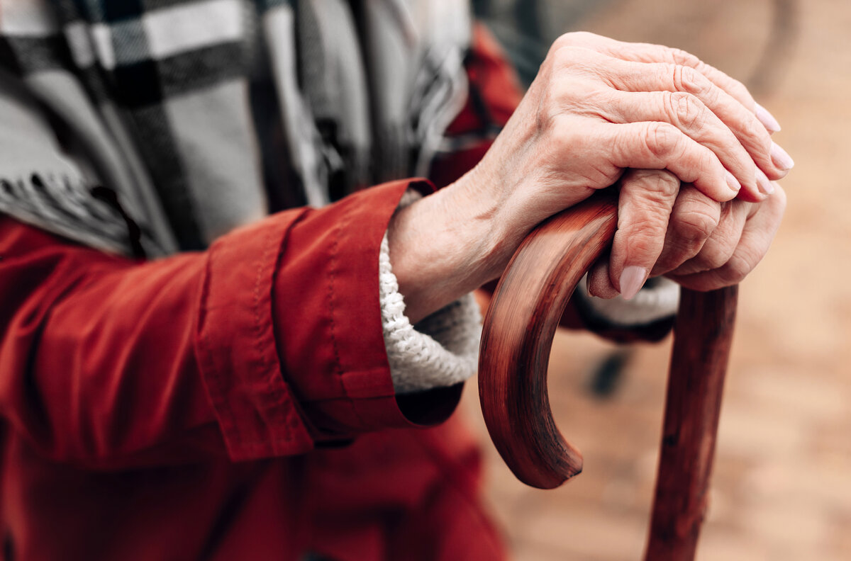 Предсказание