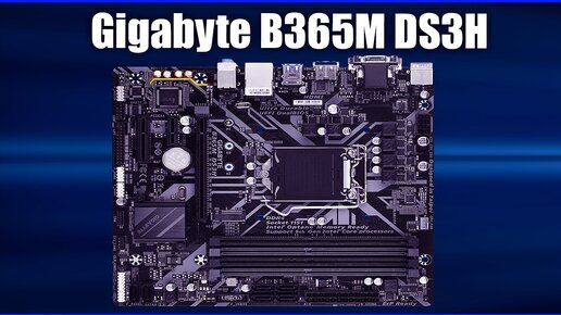 Материнская плата Gigabyte B365m Ds3h