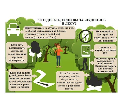 Памятка о правилах поведения в лесу (источник изображения tt-snab.ru)