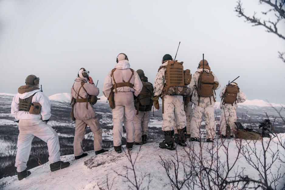 Совместные учения американских и норвежских войск в Норвегии. Фото: U.S. Marine Corps / Lance Cpl. Patrick King