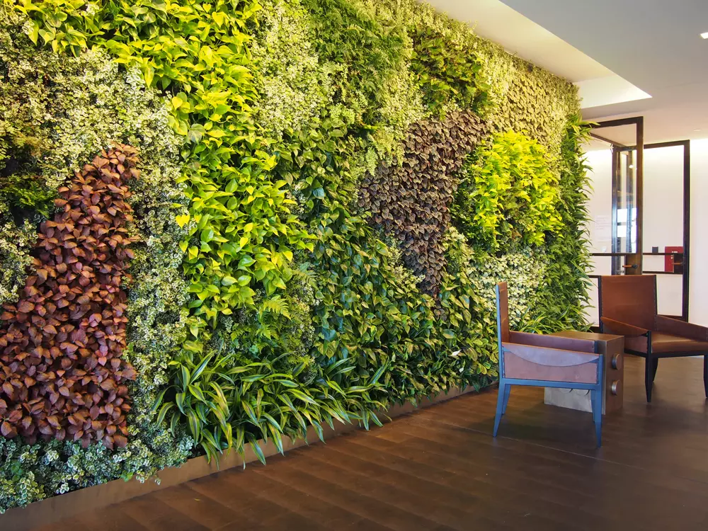 Изображение взято из открытого источника