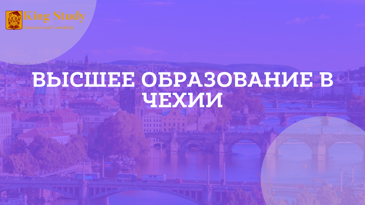 King Study - подготовка и поступление в вузы Чехии