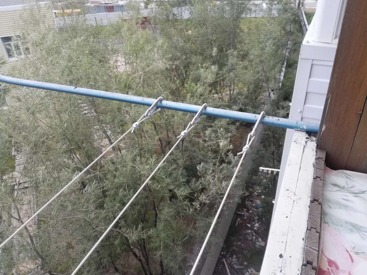 Картинка из свободных источников