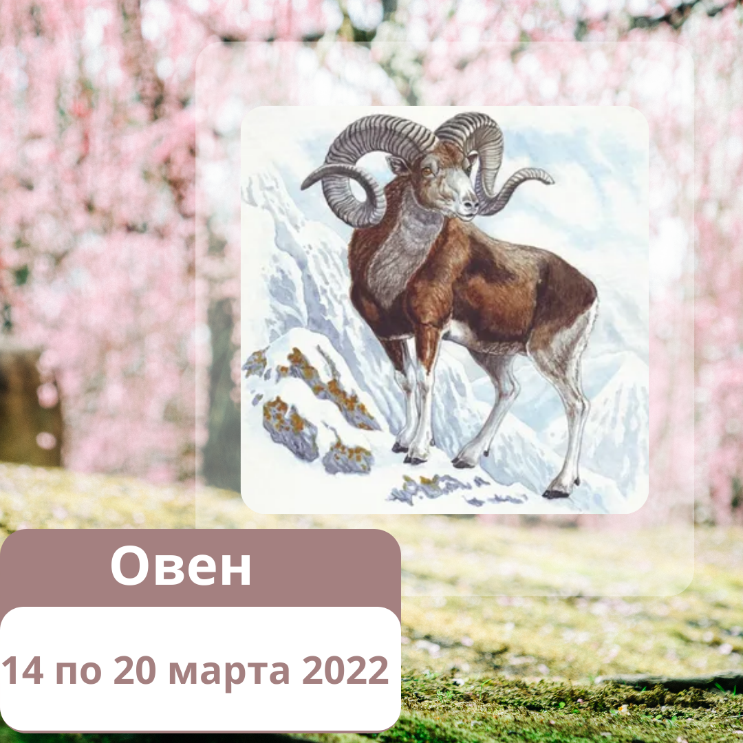 Гороскоп на неделю Овен с 14 по 20 марта 2022 года