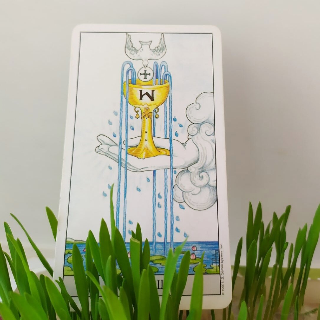 Фото автора канала