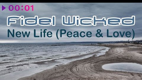 Fidel Wicked - New Life | Peace & Love | Official Audio | 2022