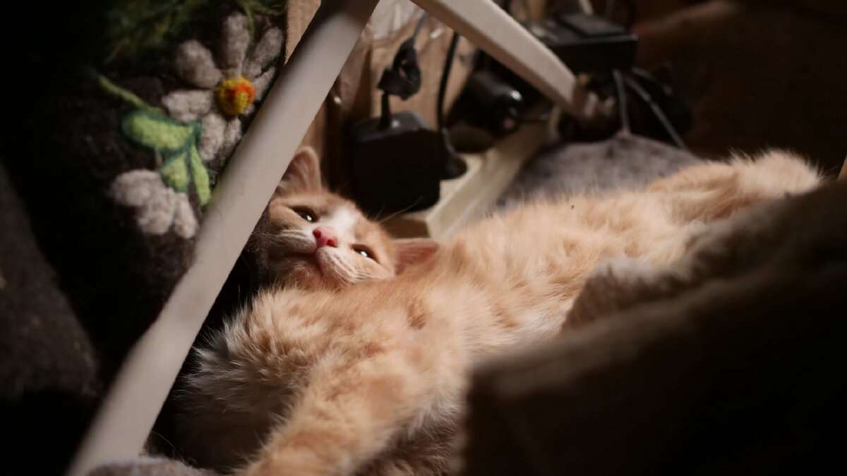 Зюзь, тебе нормально?