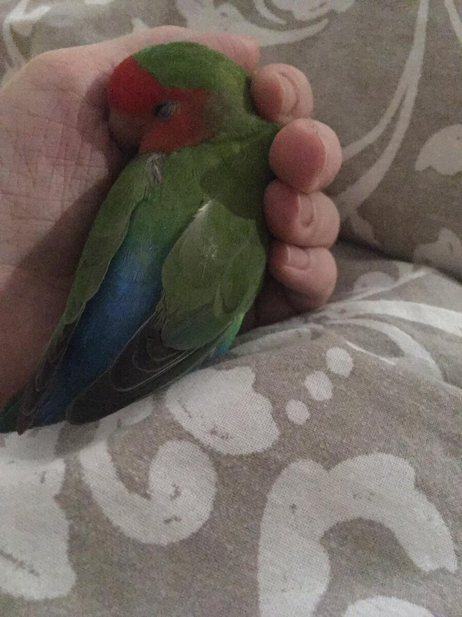 В руке спокойней