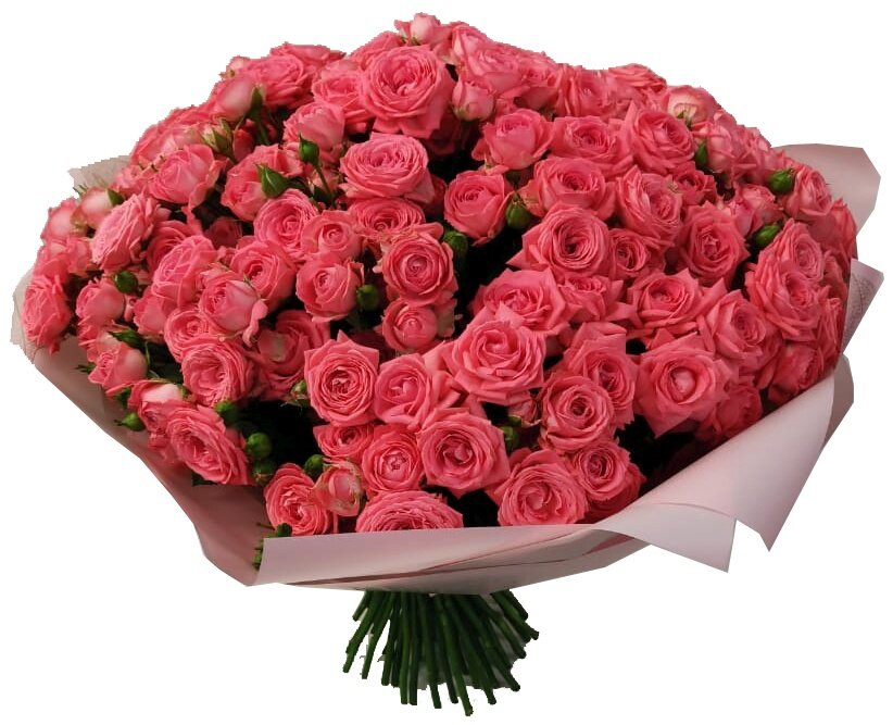 Вам, Наталья!