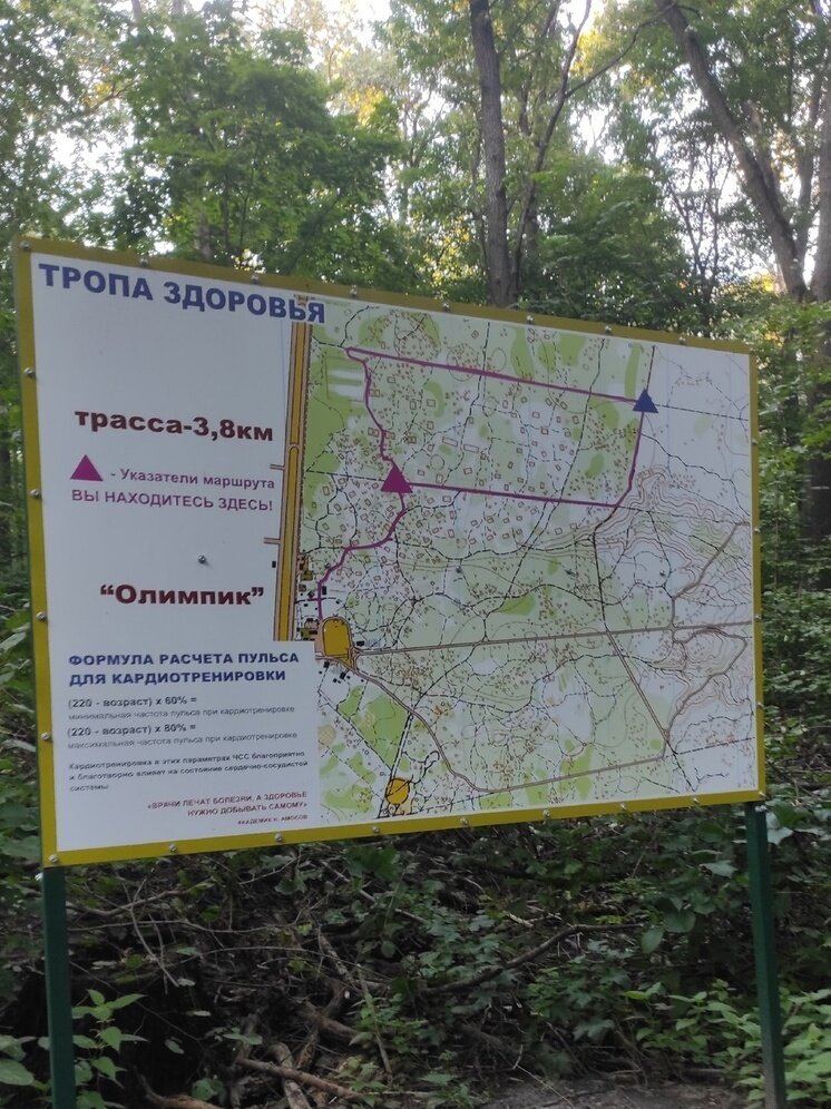     Фото: СОК "Олимпик", официальная группа в ВК